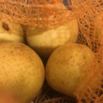 Compotes de pommes maison