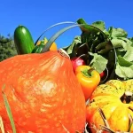 Autonomie alimentaire Melles