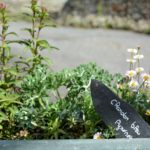 Jardin botanique Melles saison 2022