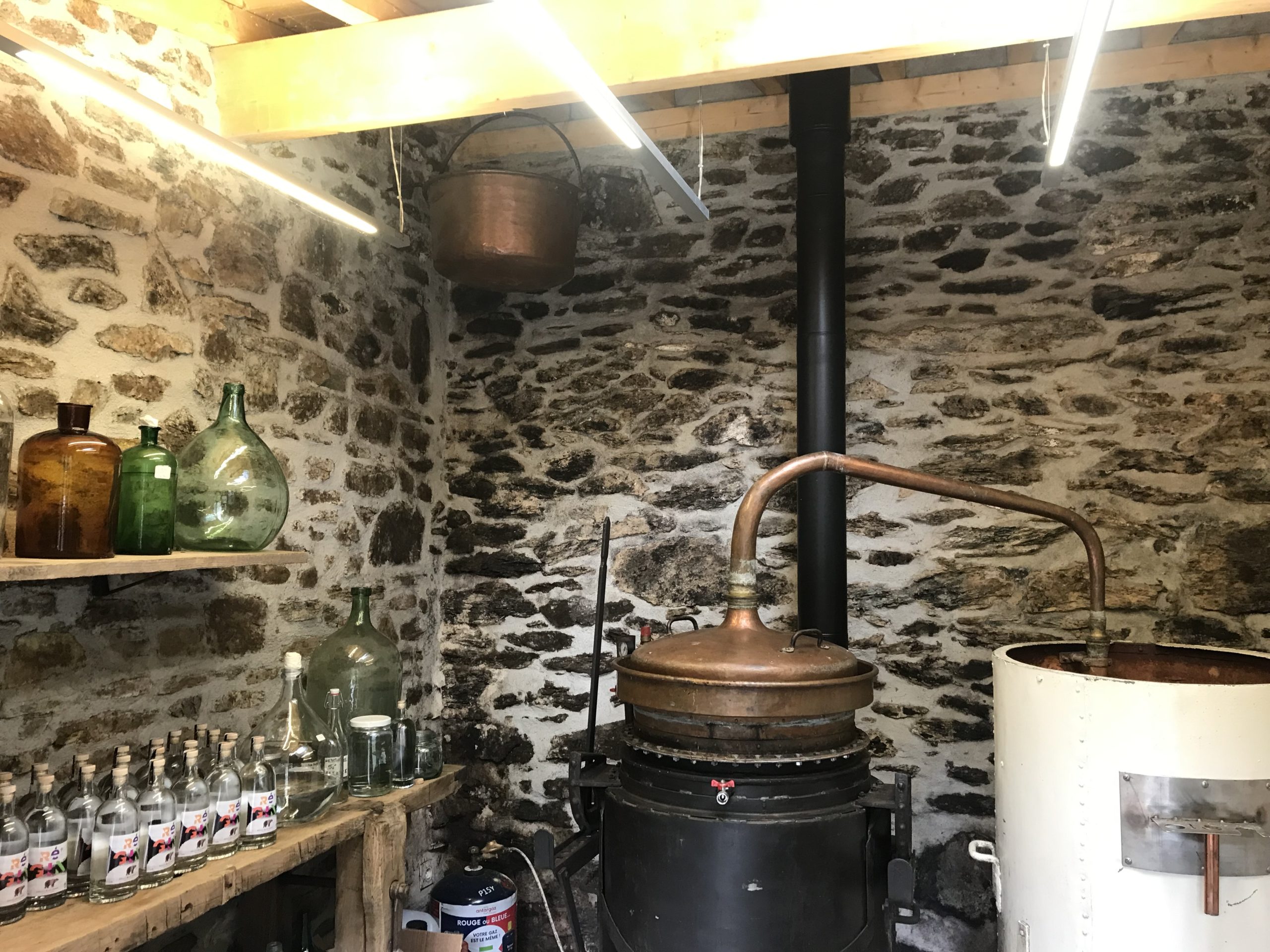 A Melles Régine distille son gin RéGIN