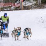 Cimalp X Coste Racedog