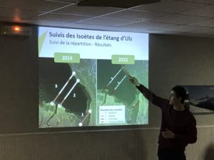 Population isoètes étang d'Uls