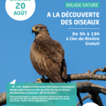Balade découverte des oiseaux dans le Comminges