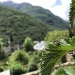 Comment adopter un mode de vie plus respectueux de la nature ?