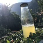 Lessive naturelle au lierre