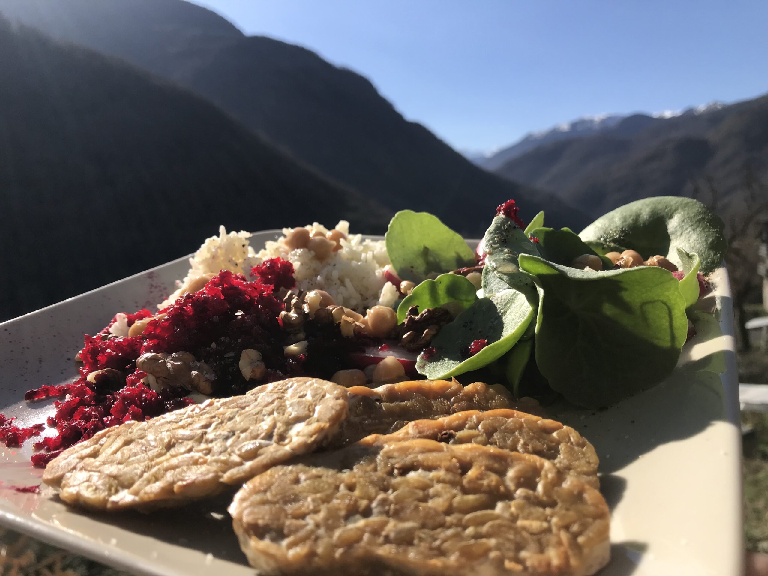Salade d'hiver avec des feuilles de nombril de Vénus