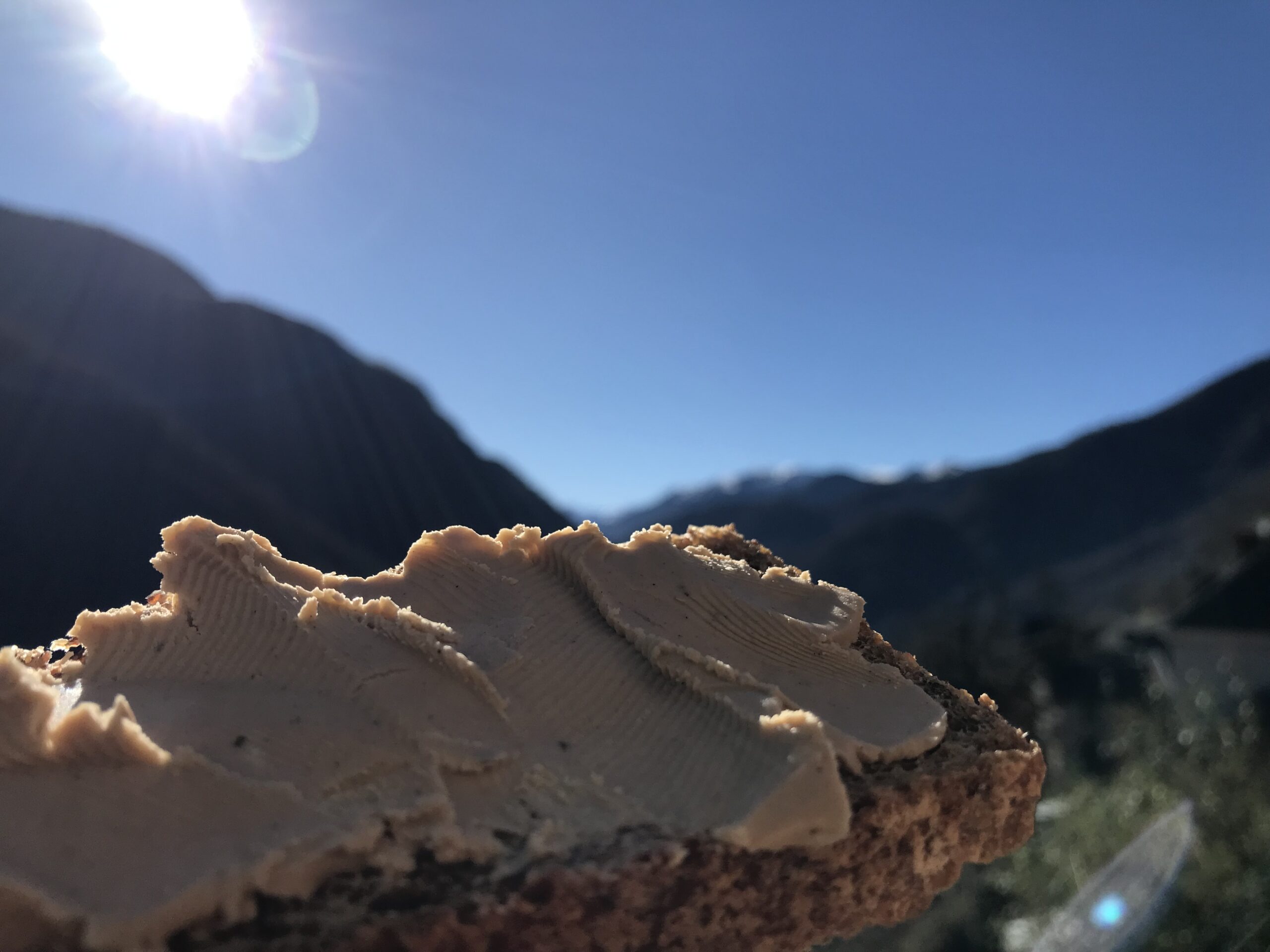 Une nouvelle foie alternative végétale au foie gras