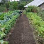 Ça pousse en Comminges aux Jardins du Comminges de ferme en ferme 27 avril 2024