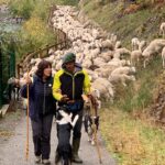 Marie-Claire Uchan On s'en Melles