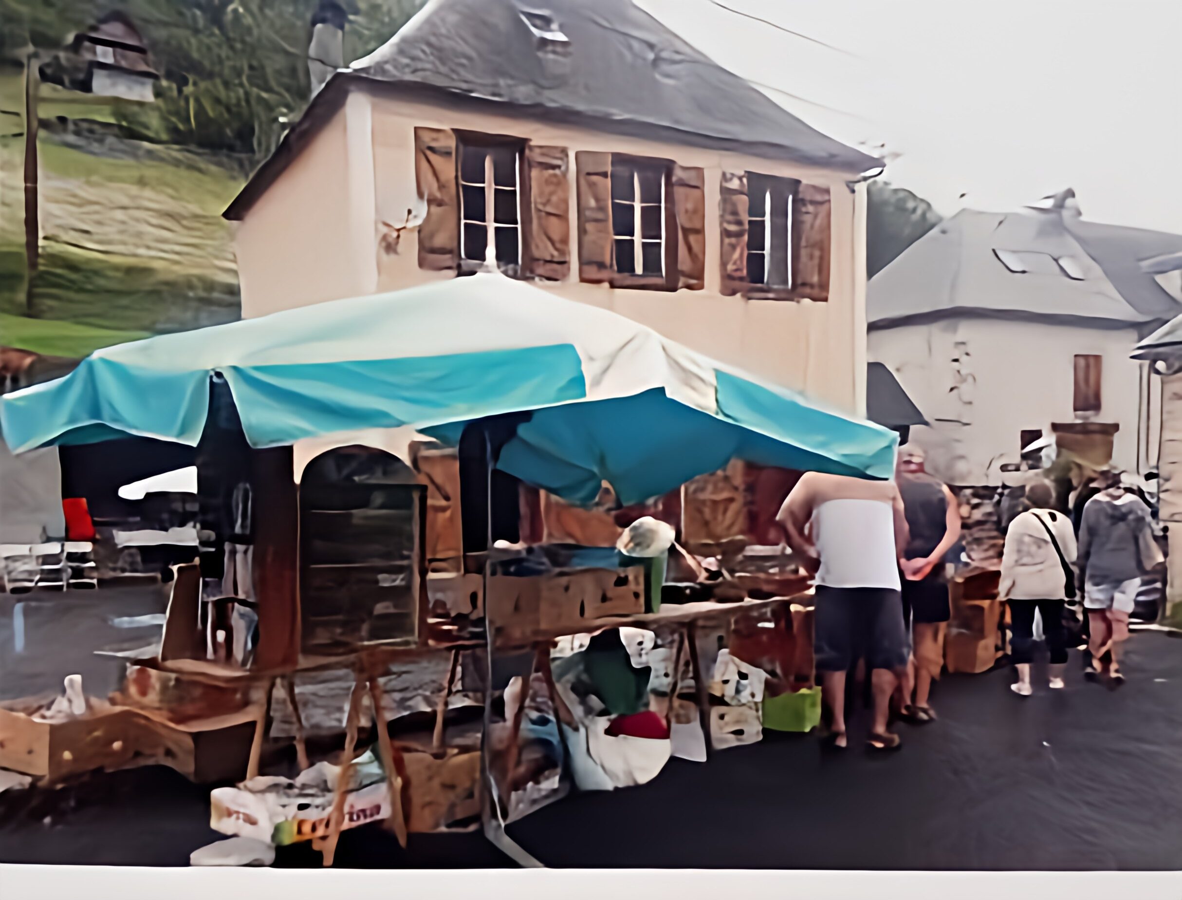 Ger de Boutx vide grenier