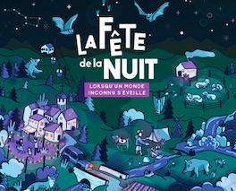 La fête de la nuit Luchon