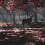 Brame du cerf Pyrénées haut-garonnaises luchon