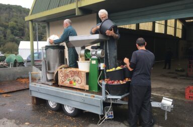 Jus de pommes à la Fête de la pomme à Sauveterre de Comminges