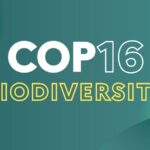 COP16 biodiversité