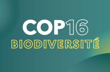 COP16 biodiversité