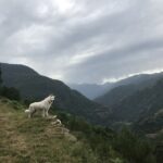 38% des français voudraient vivre en montagne