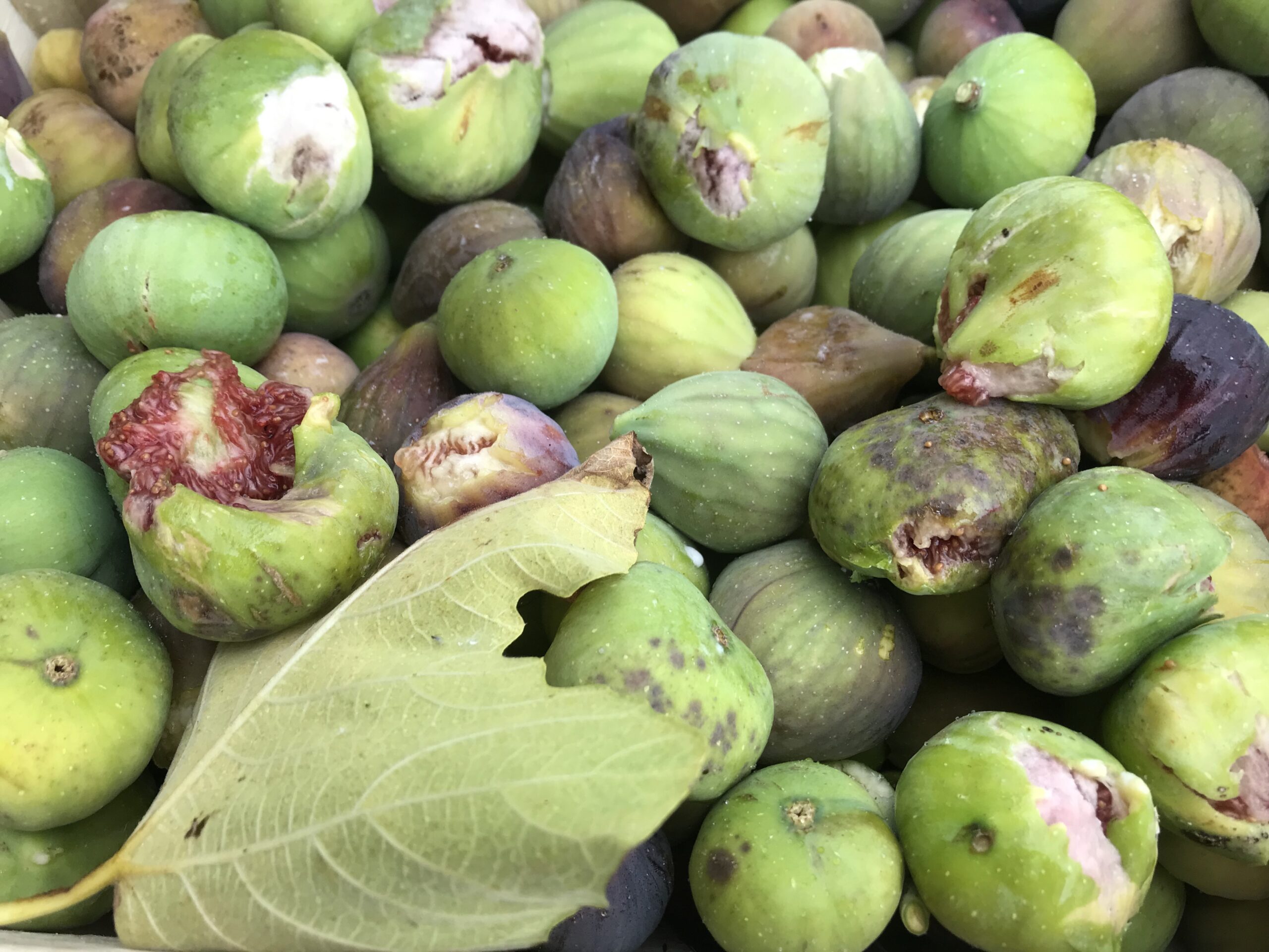 Compotée de figue sans sucre