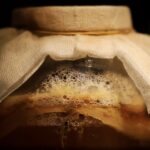 Kombucha Bio La Fourche