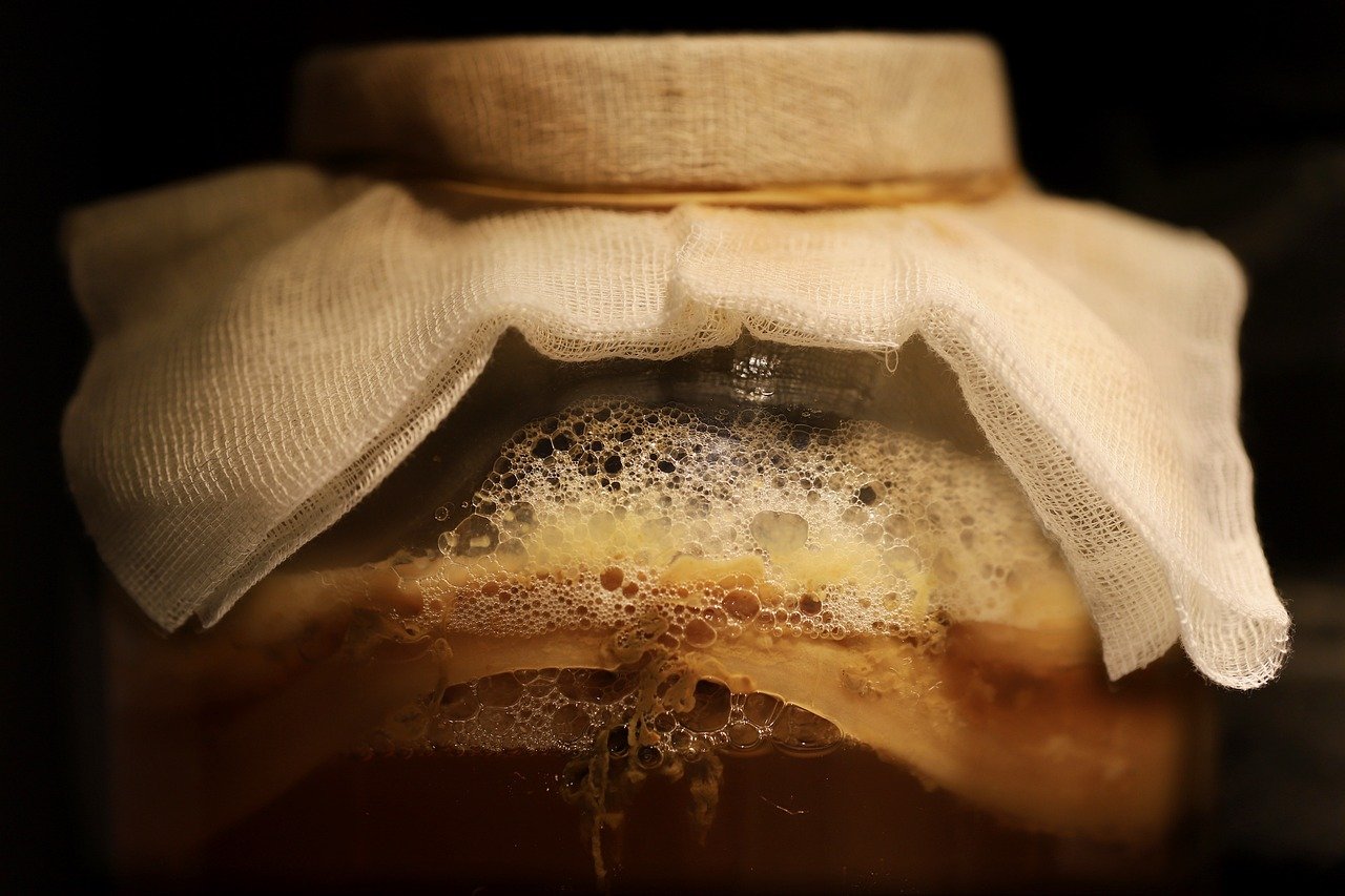 Kombucha Bio La Fourche