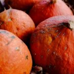 Leclerc potimarron pesticide