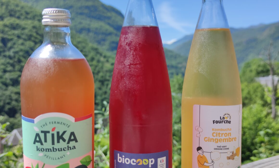 Kombucha Mania