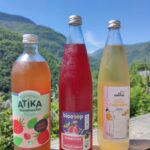 Kombucha Mania