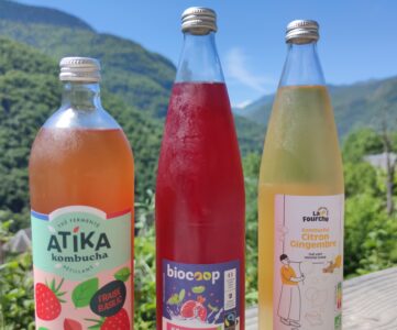Kombucha Mania