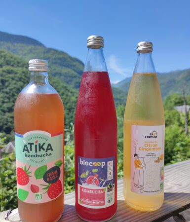 Kombucha Mania