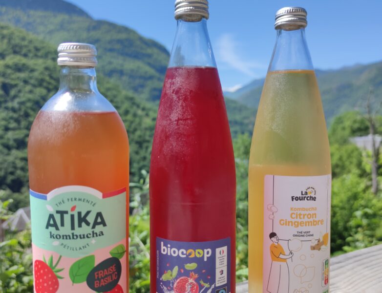 Kombucha Mania