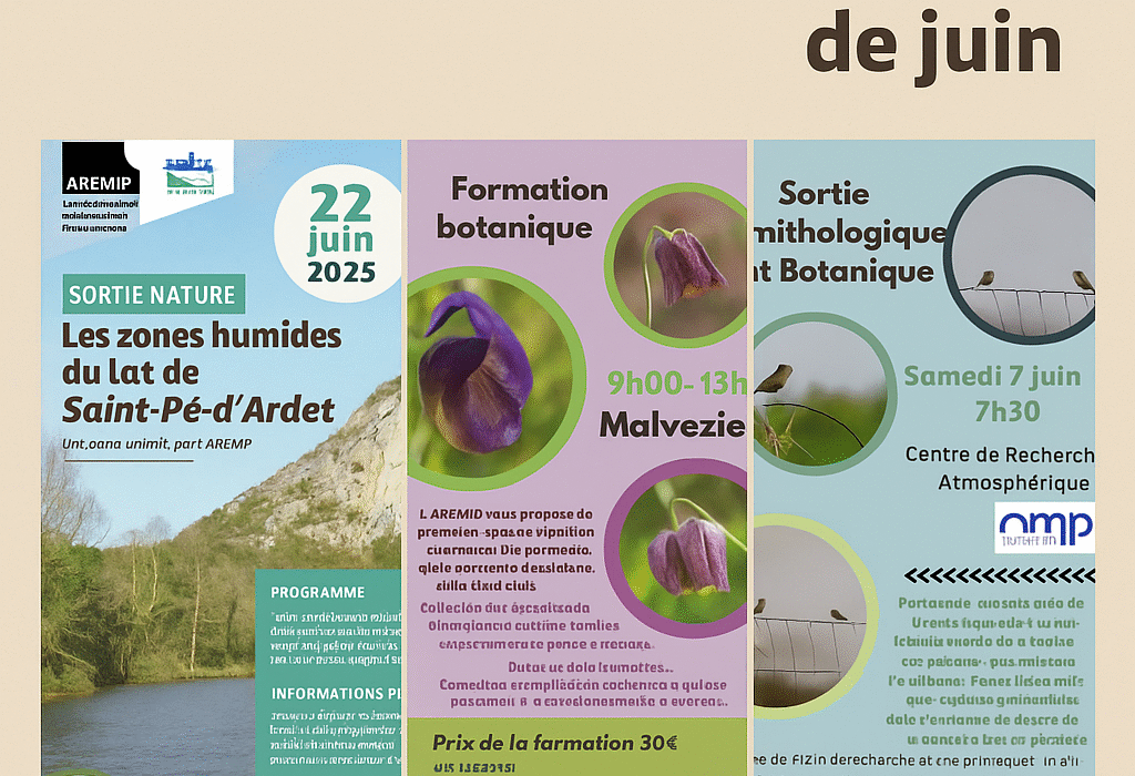 Sorties nature AREMIP