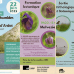 Sorties nature AREMIP