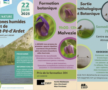 Sorties nature AREMIP