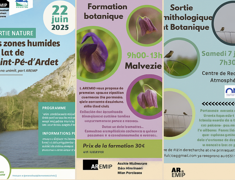Sorties nature AREMIP
