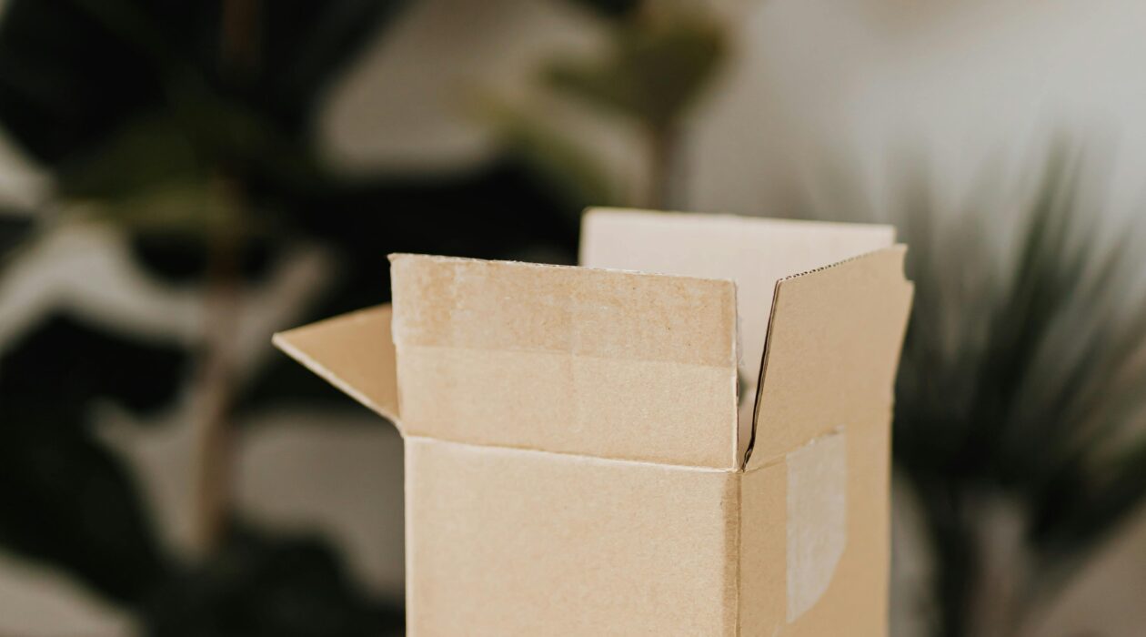 Box mensuelle abonnement