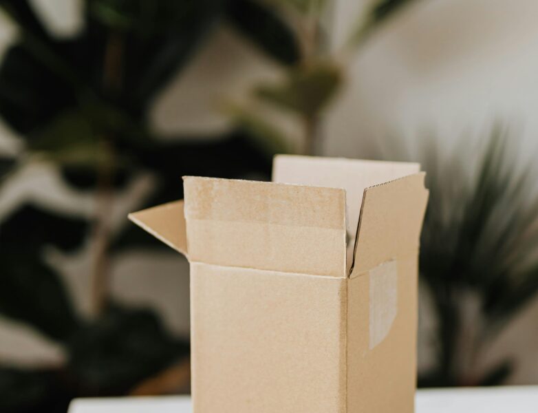 Box mensuelle abonnement
