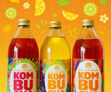 Occitanie kombucha