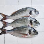 Casiers de la mer Poiscaille