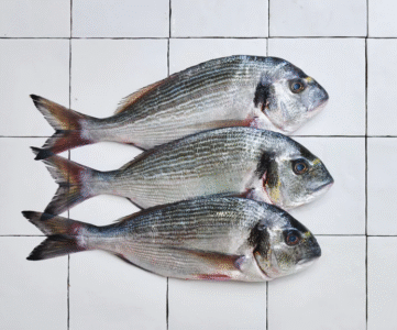 Casiers de la mer Poiscaille