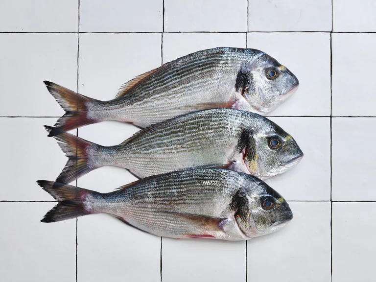 Casiers de la mer Poiscaille