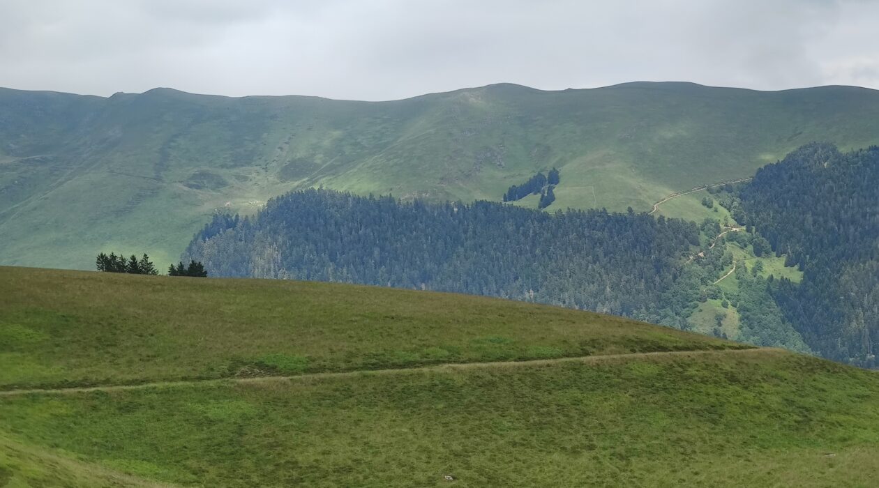 pyrénéennes randonnée luchon