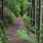 running revolution verte