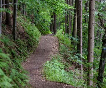 running revolution verte