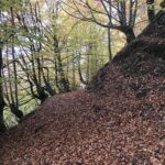 automne