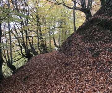 automne