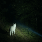 lampe frontale choisir pour la randonnée et le trail