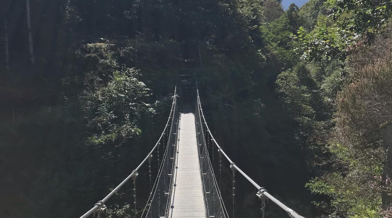 Pequerin passerelle Luchon