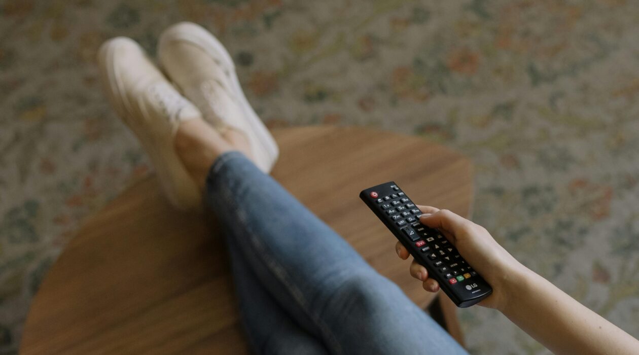 Novo19 nouvelle chaine TV