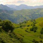 Luchon Posets