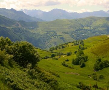 Luchon Posets