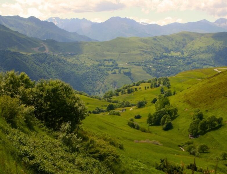 Luchon Posets